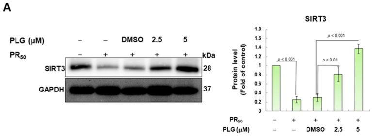 https://cdn.ncbi.nlm.nih.gov/pmc/blobs/62c6/10669908/354123eeb955/antioxidants-12-02008-g005a.jpg