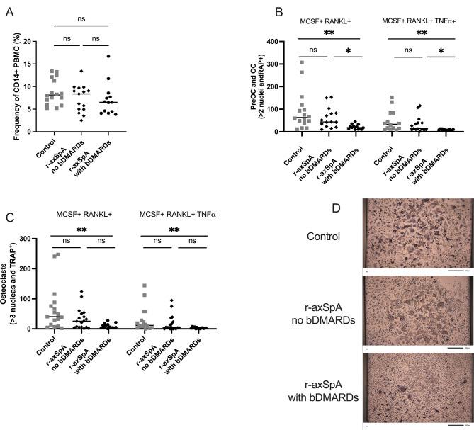 https://cdn.ncbi.nlm.nih.gov/pmc/blobs/62c6/12123737/96bfd87de970/13075_2025_3578_Fig2_HTML.jpg