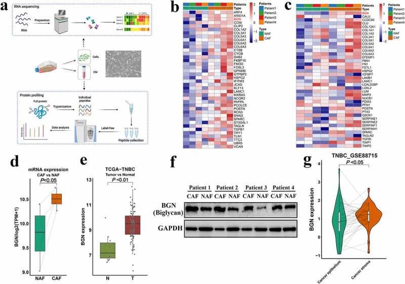 https://cdn.ncbi.nlm.nih.gov/pmc/blobs/62c7/8741292/104ddc0491e6/KONI_A_2020984_F0004_OC.jpg