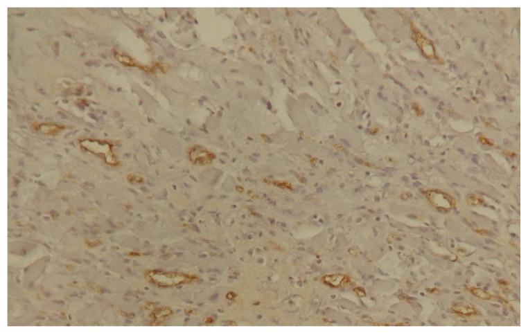 https://cdn.ncbi.nlm.nih.gov/pmc/blobs/62c9/12293050/5a98fc1651a7/biology-14-00756-g002.jpg