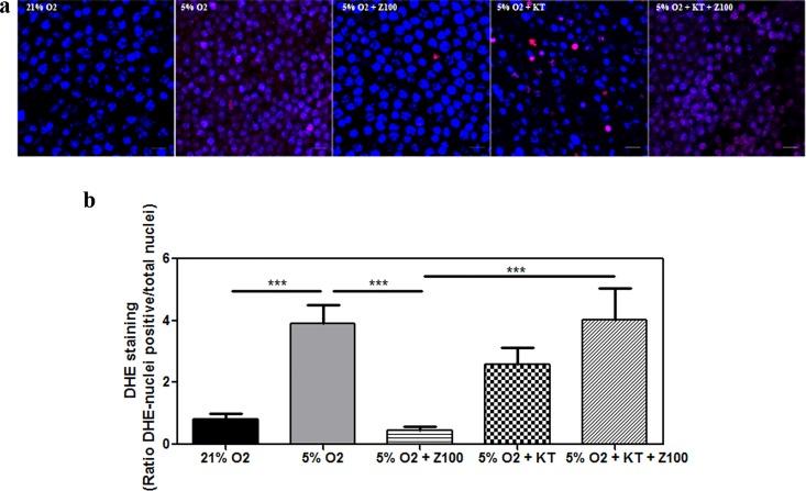 https://cdn.ncbi.nlm.nih.gov/pmc/blobs/62c9/5115799/57422017bf75/pone.0166717.g005.jpg
