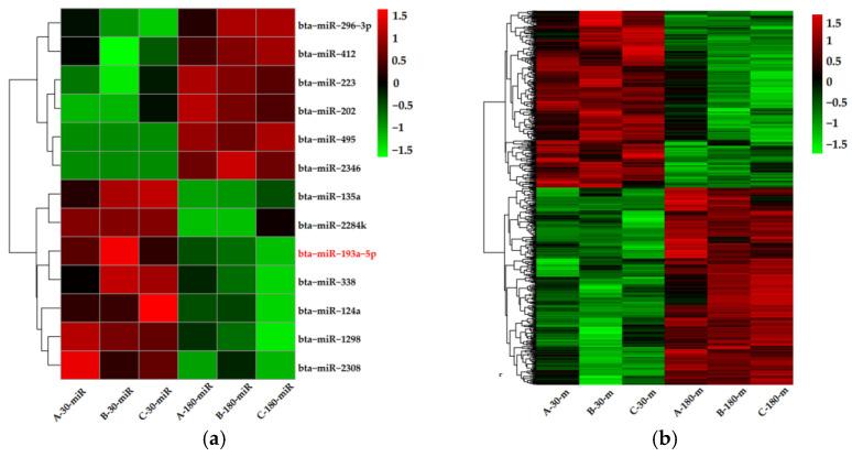 https://cdn.ncbi.nlm.nih.gov/pmc/blobs/62c9/7911131/d10bd784bb04/biomolecules-11-00157-g002.jpg