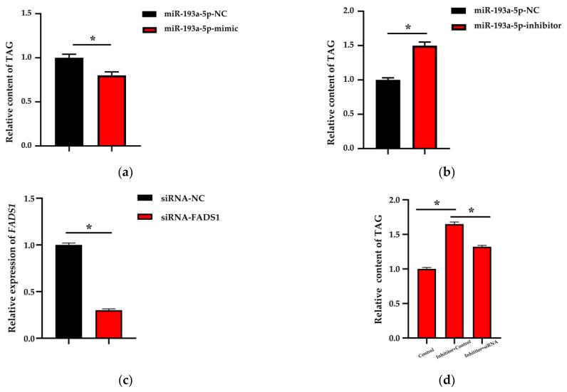 https://cdn.ncbi.nlm.nih.gov/pmc/blobs/62c9/7911131/f4f29ae9c872/biomolecules-11-00157-g006.jpg