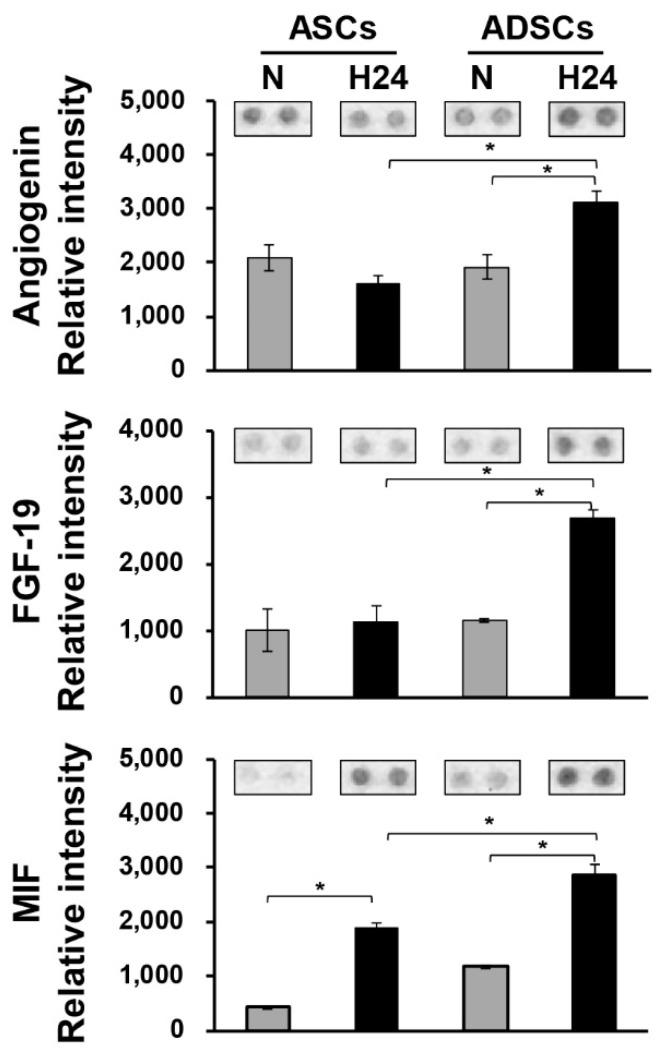 https://cdn.ncbi.nlm.nih.gov/pmc/blobs/62cc/6723458/af51388d36f3/jcm-08-01231-g006.jpg