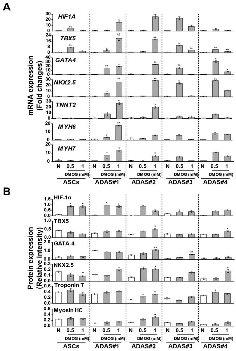 https://cdn.ncbi.nlm.nih.gov/pmc/blobs/62cc/6723458/f3f1e9b947aa/jcm-08-01231-g005.jpg