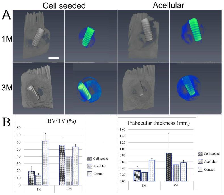 https://cdn.ncbi.nlm.nih.gov/pmc/blobs/62cd/10668976/847b429ca958/bioengineering-10-01277-g003.jpg