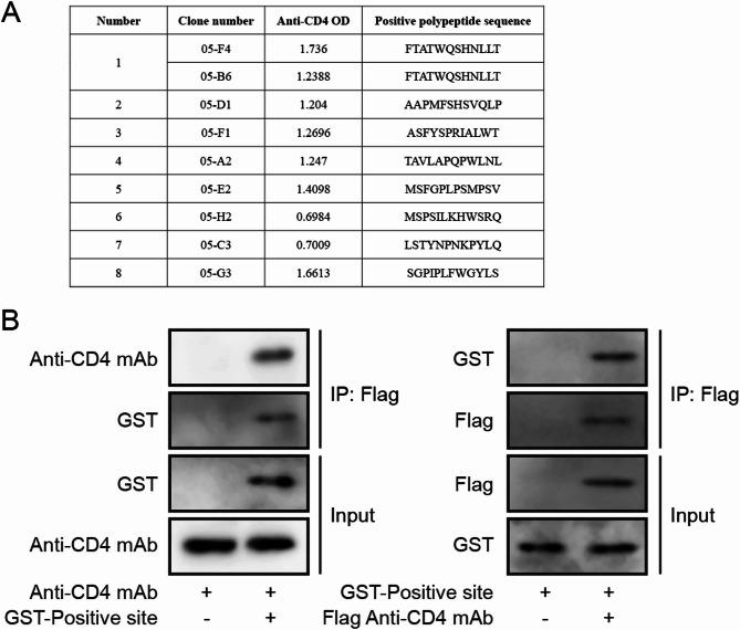 https://cdn.ncbi.nlm.nih.gov/pmc/blobs/62ce/12180279/1e19bf34fc77/10020_2025_1286_Fig4_HTML.jpg
