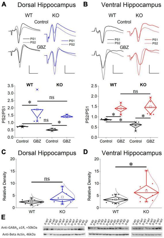 https://cdn.ncbi.nlm.nih.gov/pmc/blobs/62cf/10722241/c842c0559b40/fncel-17-1296235-g009.jpg