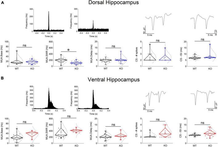 https://cdn.ncbi.nlm.nih.gov/pmc/blobs/62cf/10722241/c9cabb6b9ed9/fncel-17-1296235-g004.jpg