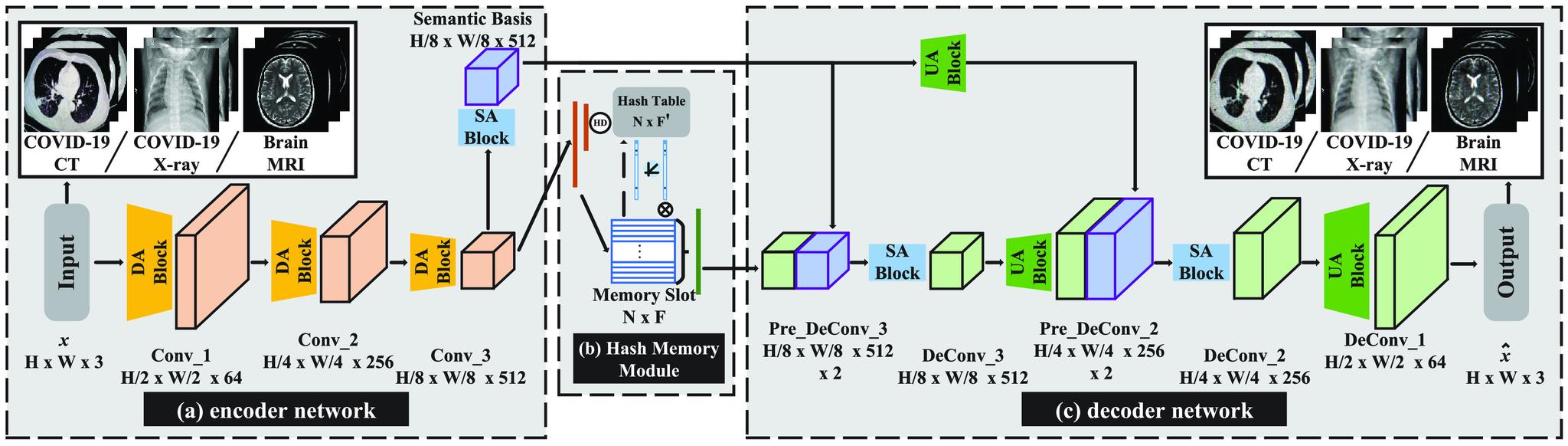 https://cdn.ncbi.nlm.nih.gov/pmc/blobs/62cf/8544938/aef2b46bd83a/zhang2abc-3045295.jpg
