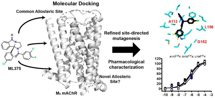 https://cdn.ncbi.nlm.nih.gov/pmc/blobs/62d0/11945405/2c1144a6a26a/pharmaceuticals-18-00369-g018.jpg