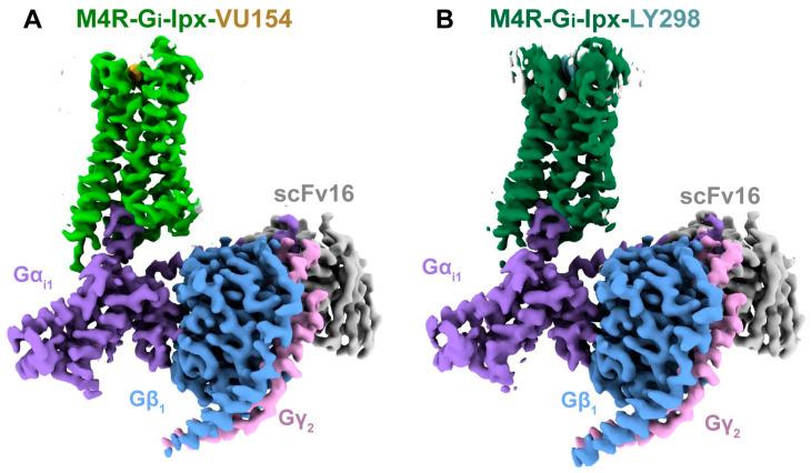 https://cdn.ncbi.nlm.nih.gov/pmc/blobs/62d0/11945405/70f8c34716e8/pharmaceuticals-18-00369-g013.jpg