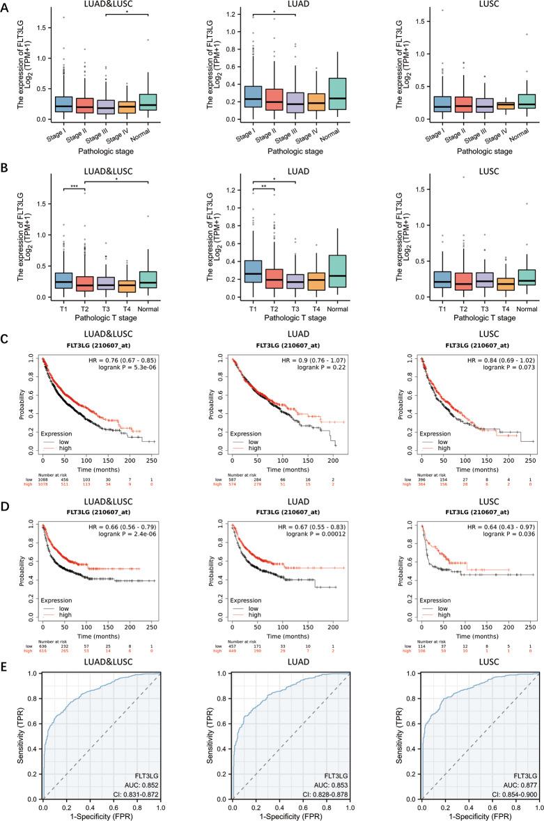 https://cdn.ncbi.nlm.nih.gov/pmc/blobs/62d0/12057023/4136349513aa/12885_2025_14220_Fig2_HTML.jpg