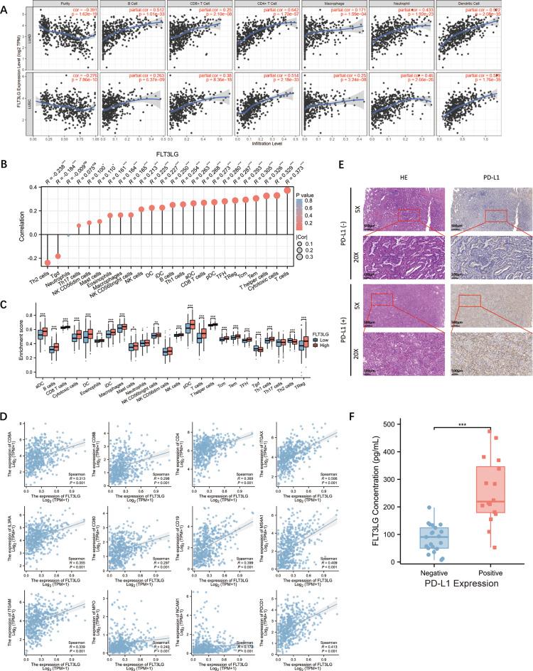 https://cdn.ncbi.nlm.nih.gov/pmc/blobs/62d0/12057023/723ed2976f6e/12885_2025_14220_Fig5_HTML.jpg