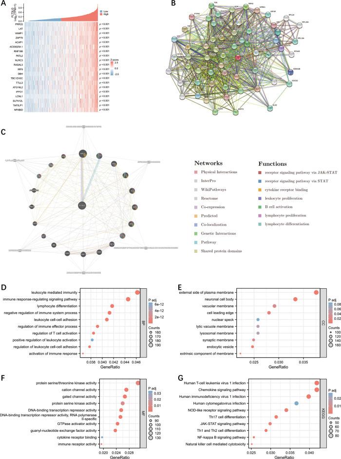 https://cdn.ncbi.nlm.nih.gov/pmc/blobs/62d0/12057023/ea69014fb6f2/12885_2025_14220_Fig4_HTML.jpg