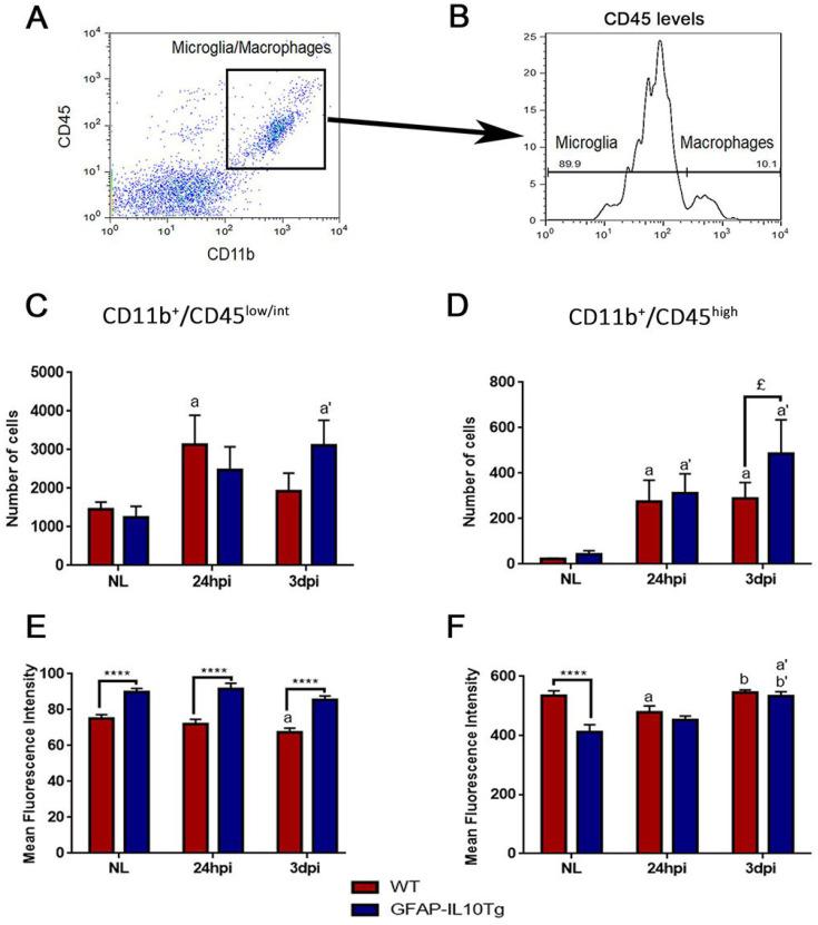 https://cdn.ncbi.nlm.nih.gov/pmc/blobs/62d0/9272120/49130613d512/en-31-3-173-f4.jpg