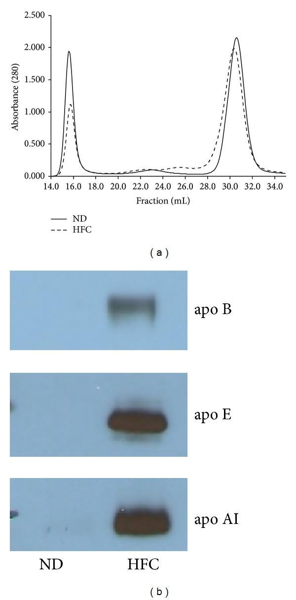 https://cdn.ncbi.nlm.nih.gov/pmc/blobs/62d2/3941159/1c5c66467b73/CHOLESTEROL2014-843468.002.jpg
