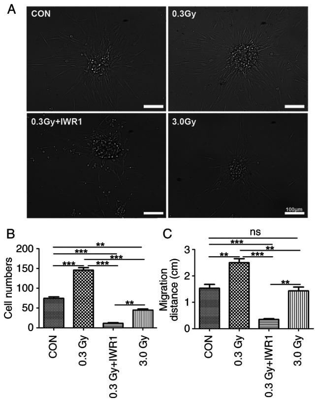 https://cdn.ncbi.nlm.nih.gov/pmc/blobs/62d3/10777445/17b2e9a51f63/or-51-02-08681-g01.jpg