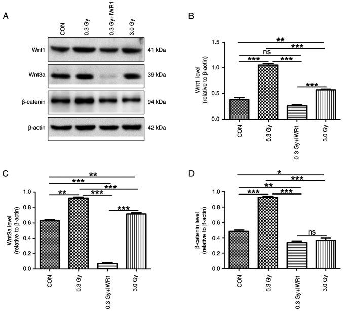 https://cdn.ncbi.nlm.nih.gov/pmc/blobs/62d3/10777445/2c8d4e345310/or-51-02-08681-g07.jpg