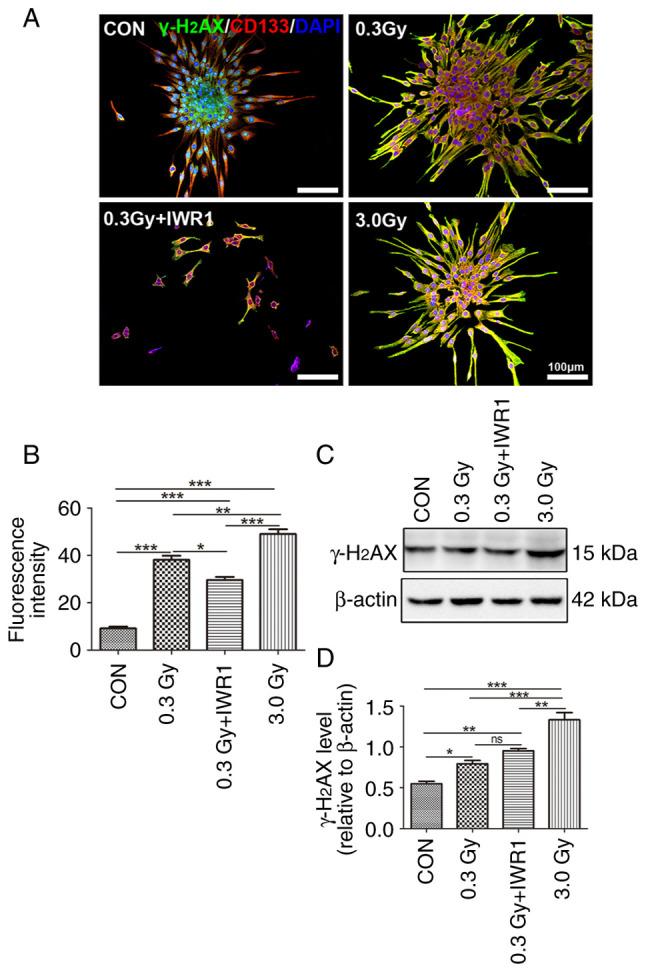 https://cdn.ncbi.nlm.nih.gov/pmc/blobs/62d3/10777445/4e973c3638eb/or-51-02-08681-g03.jpg