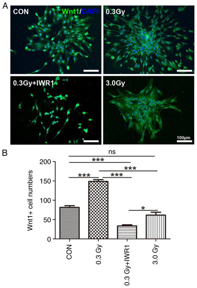 https://cdn.ncbi.nlm.nih.gov/pmc/blobs/62d3/10777445/d2e3e38b4db9/or-51-02-08681-g04.jpg