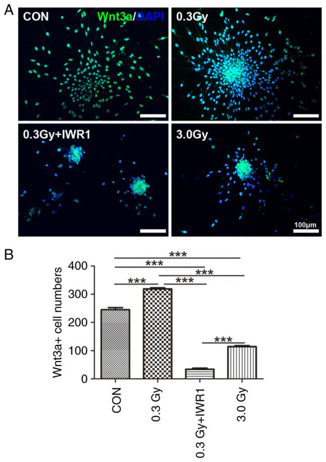 https://cdn.ncbi.nlm.nih.gov/pmc/blobs/62d3/10777445/fe3f85e49d49/or-51-02-08681-g05.jpg