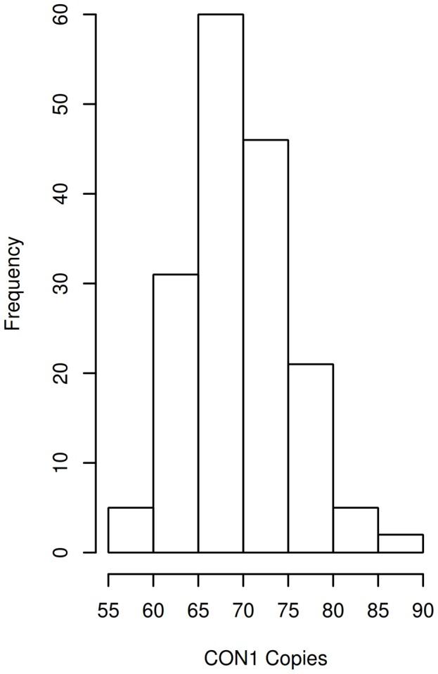 https://cdn.ncbi.nlm.nih.gov/pmc/blobs/62d4/3961203/475854fa9681/pgen.1004241.g001.jpg
