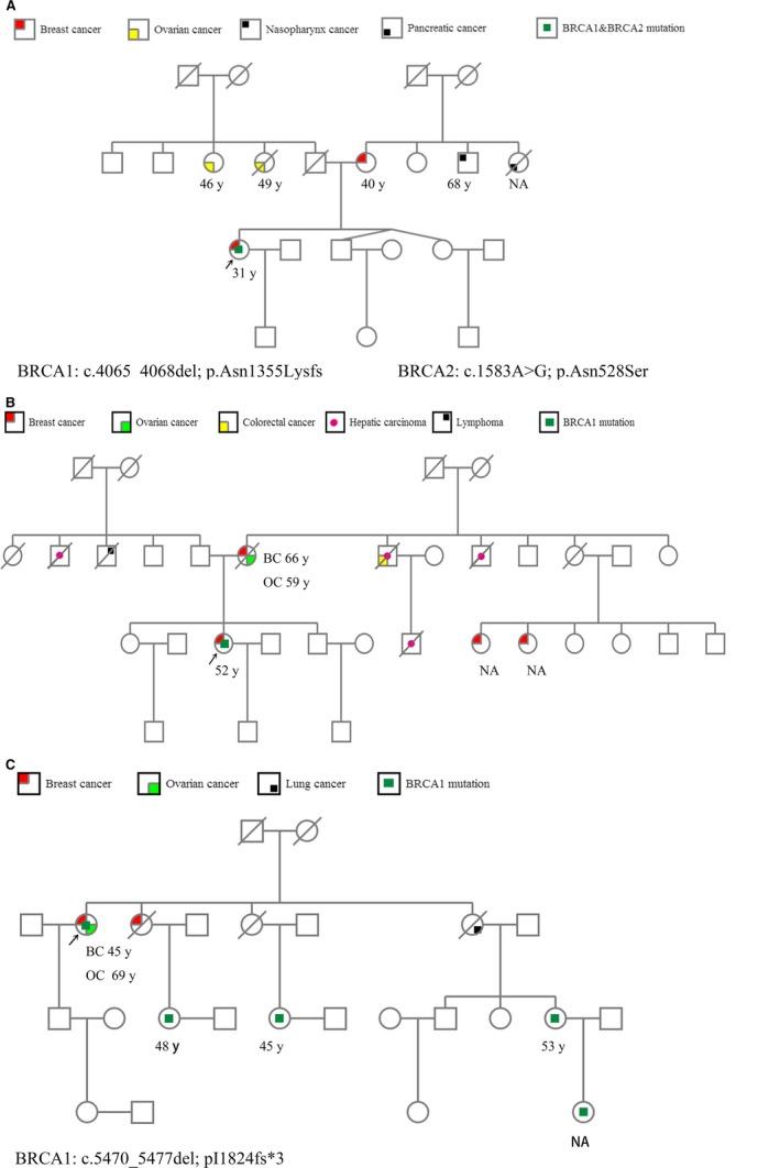 https://cdn.ncbi.nlm.nih.gov/pmc/blobs/62d5/6536923/46d8e5622e67/CAM4-8-2074-g002.jpg