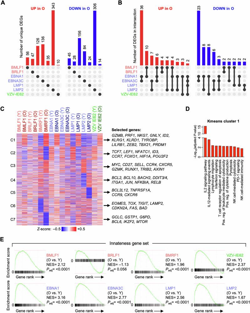 https://cdn.ncbi.nlm.nih.gov/pmc/blobs/62d6/12246114/2740e3516a5d/41467_2025_61627_Fig6_HTML.jpg
