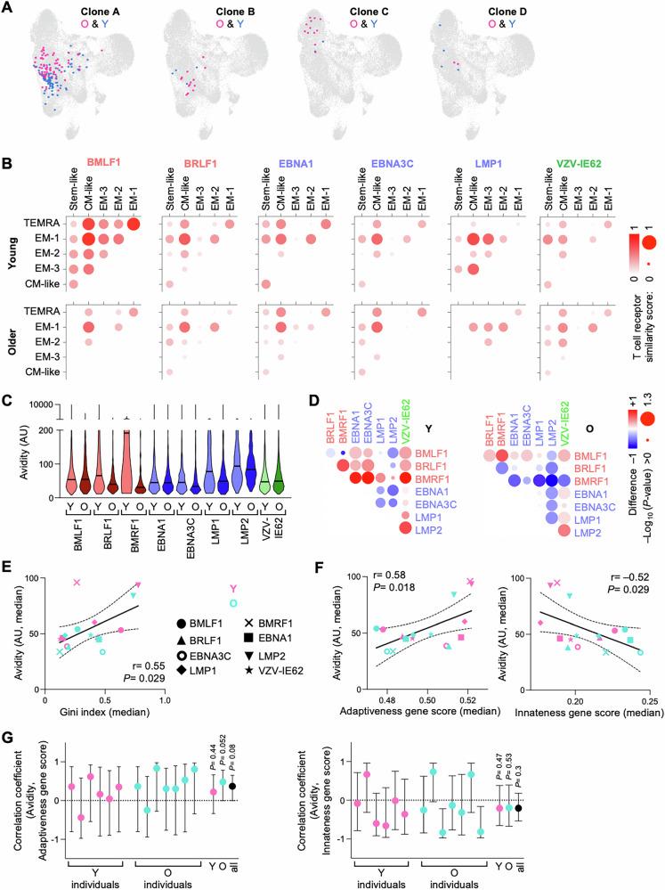 https://cdn.ncbi.nlm.nih.gov/pmc/blobs/62d6/12246114/522ffe220adb/41467_2025_61627_Fig8_HTML.jpg