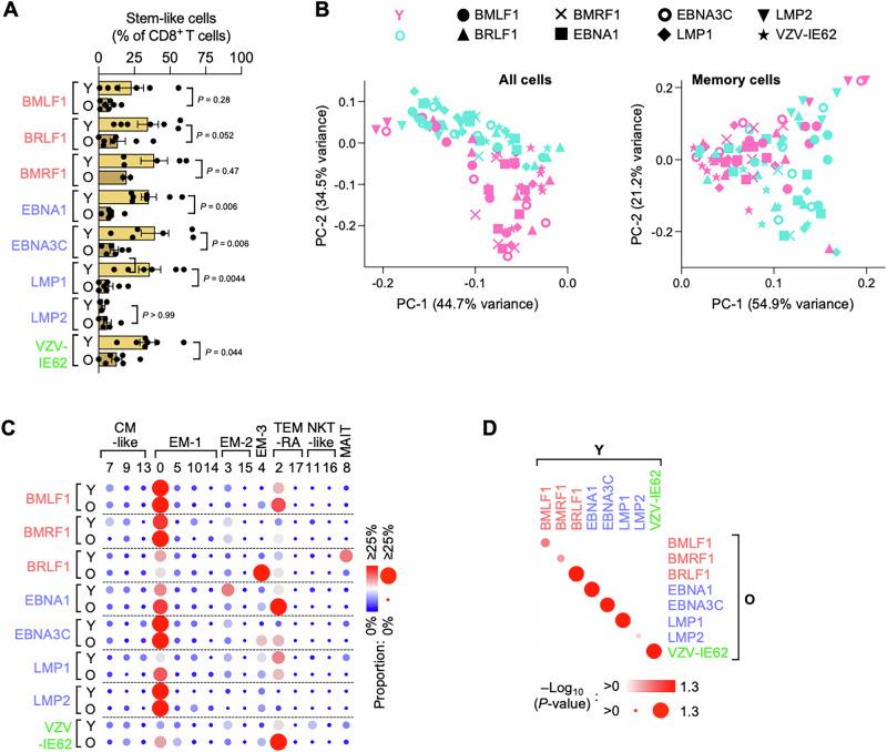 https://cdn.ncbi.nlm.nih.gov/pmc/blobs/62d6/12246114/8294fadfd5da/41467_2025_61627_Fig5_HTML.jpg
