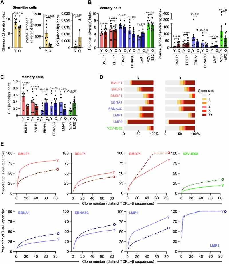 https://cdn.ncbi.nlm.nih.gov/pmc/blobs/62d6/12246114/98b3f1a37fe6/41467_2025_61627_Fig7_HTML.jpg
