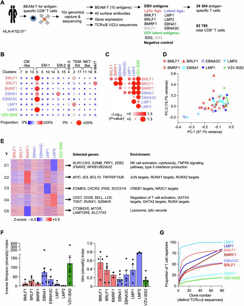 https://cdn.ncbi.nlm.nih.gov/pmc/blobs/62d6/12246114/c3188abbd702/41467_2025_61627_Fig4_HTML.jpg