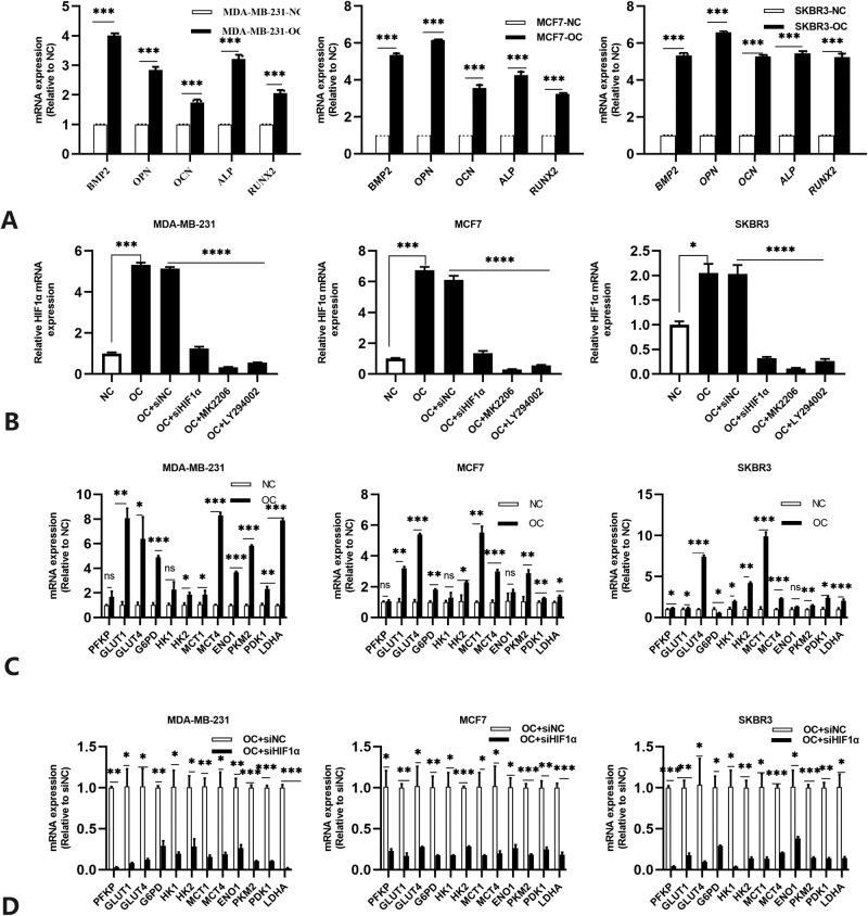 https://cdn.ncbi.nlm.nih.gov/pmc/blobs/62d7/10643473/0230f65275b1/41523_2023_598_Fig2_HTML.jpg