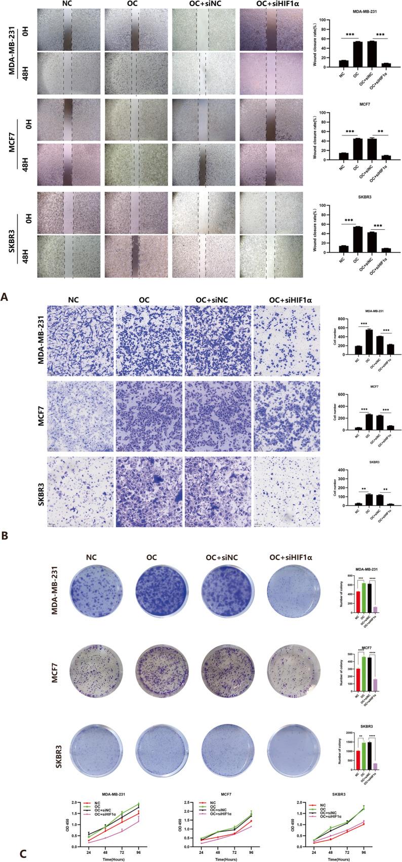 https://cdn.ncbi.nlm.nih.gov/pmc/blobs/62d7/10643473/1263379f5344/41523_2023_598_Fig3_HTML.jpg