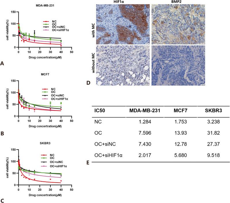 https://cdn.ncbi.nlm.nih.gov/pmc/blobs/62d7/10643473/7babe566031d/41523_2023_598_Fig6_HTML.jpg