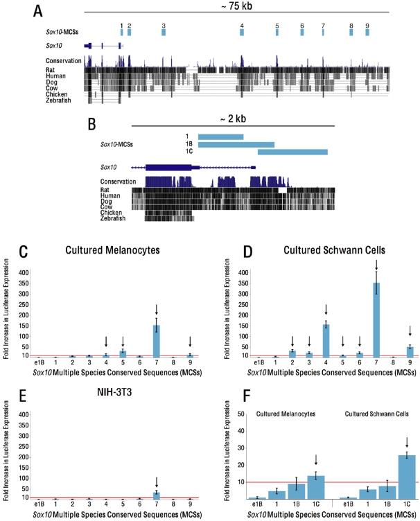 https://cdn.ncbi.nlm.nih.gov/pmc/blobs/62d7/2518861/c0d312fa2e00/pgen.1000174.g001.jpg