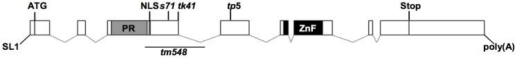 https://cdn.ncbi.nlm.nih.gov/pmc/blobs/62d7/4072510/0cffe558e1aa/pgen.1004428.g002.jpg