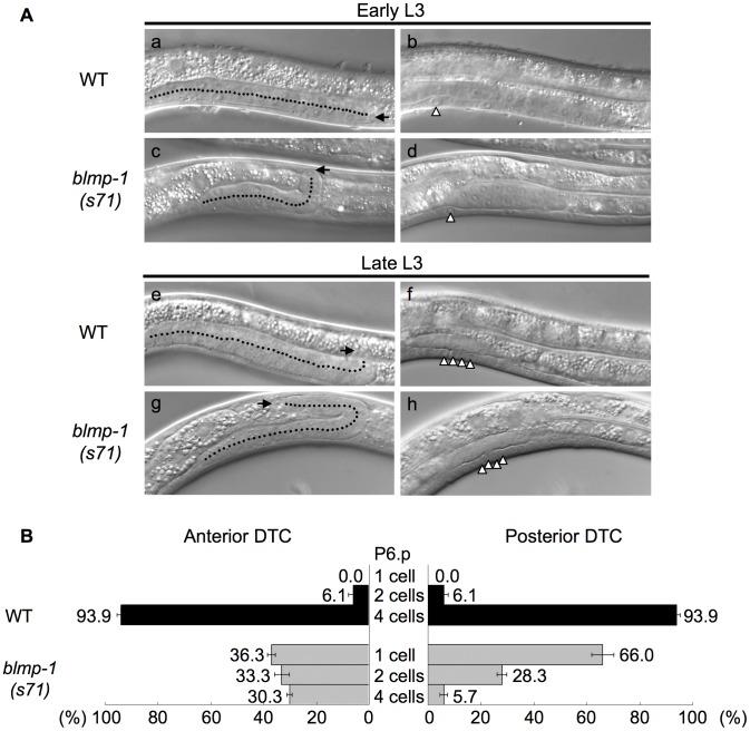 https://cdn.ncbi.nlm.nih.gov/pmc/blobs/62d7/4072510/1213b7d9659d/pgen.1004428.g003.jpg
