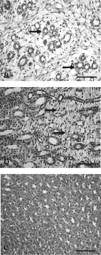 https://cdn.ncbi.nlm.nih.gov/pmc/blobs/62d8/3234650/970b399130e1/tox-23-001-g002.jpg
