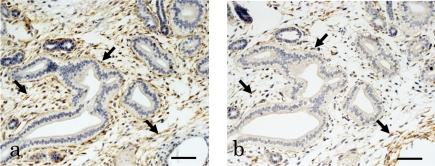 https://cdn.ncbi.nlm.nih.gov/pmc/blobs/62d8/3234650/b2482a6f8610/tox-23-001-g004.jpg
