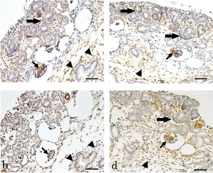 https://cdn.ncbi.nlm.nih.gov/pmc/blobs/62d8/3234650/ee3249e29928/tox-23-001-g003.jpg