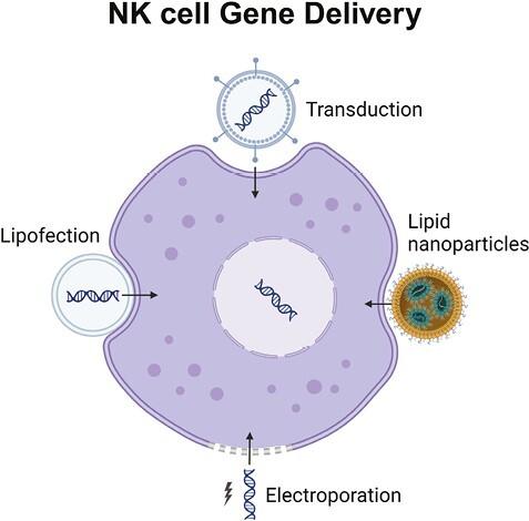 https://cdn.ncbi.nlm.nih.gov/pmc/blobs/62d9/10940834/db99ee5d2cda/szad087_fig3.jpg