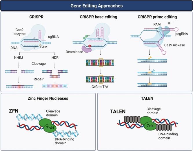 https://cdn.ncbi.nlm.nih.gov/pmc/blobs/62d9/10940834/f2e328d8a3bb/szad087_fig2.jpg
