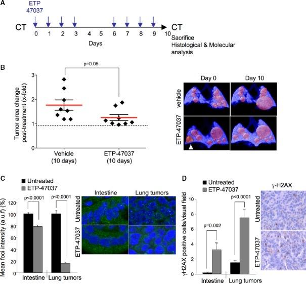 https://cdn.ncbi.nlm.nih.gov/pmc/blobs/62da/4520658/4a3101232850/emmm0007-0930-f8.jpg