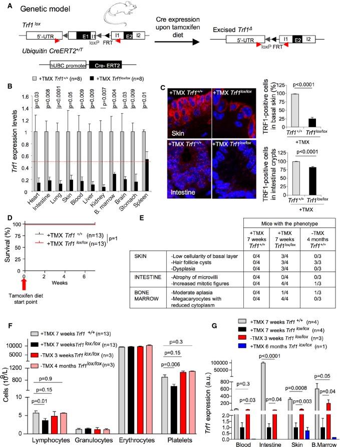 https://cdn.ncbi.nlm.nih.gov/pmc/blobs/62da/4520658/898be26a2d23/emmm0007-0930-f6.jpg