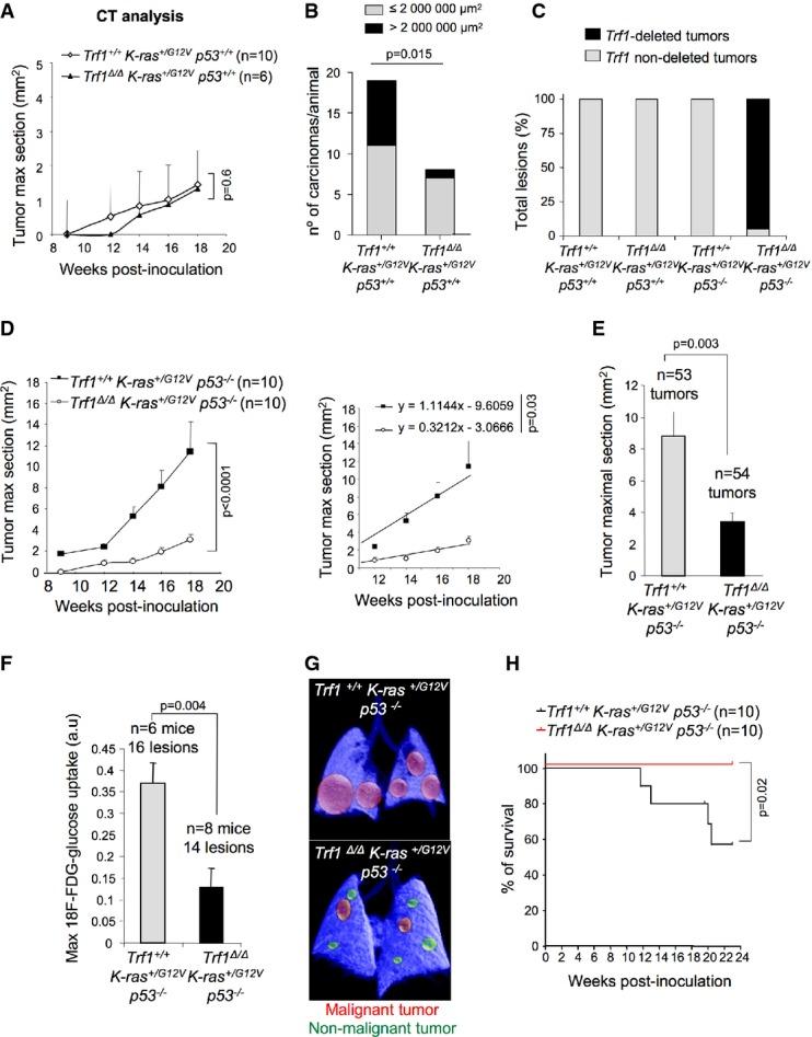 https://cdn.ncbi.nlm.nih.gov/pmc/blobs/62da/4520658/dec39ce557f1/emmm0007-0930-f2.jpg