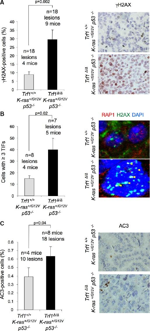 https://cdn.ncbi.nlm.nih.gov/pmc/blobs/62da/4520658/e200355c0df3/emmm0007-0930-f3.jpg