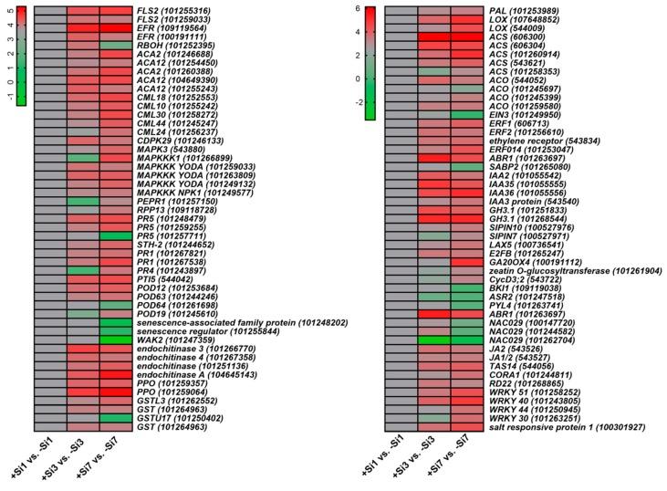 https://cdn.ncbi.nlm.nih.gov/pmc/blobs/62da/6387441/ccfb385d4c50/ijms-20-00761-g006.jpg