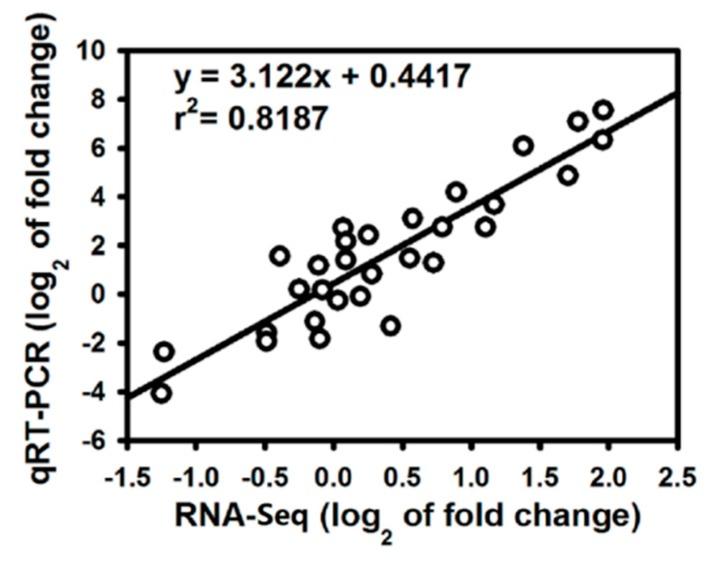 https://cdn.ncbi.nlm.nih.gov/pmc/blobs/62da/6387441/f047f15c6b9a/ijms-20-00761-g004.jpg